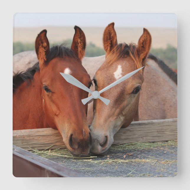 Two Brown Horses on Farm Photo Wall Clock (Front)