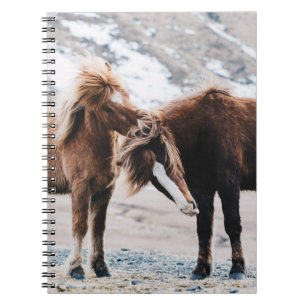 TWO BROWN HORSES ON FIELD NOTEBOOK