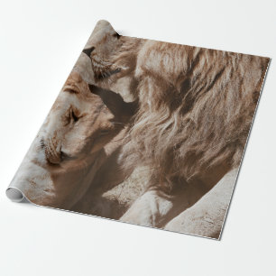 TWO BROWN LION ON GREEN FIELD WRAPPING PAPER
