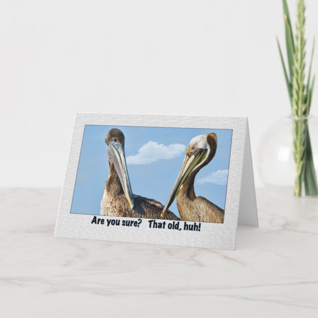 Two Brown Pelicans Birthday Greeting Card (Front)