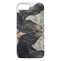 Two Brown Wild Horses Nuzzling