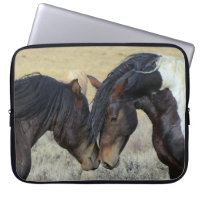 Two Brown Wild Horses Nuzzling