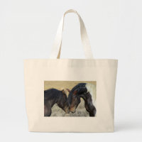 Two Brown Wild Horses Nuzzling