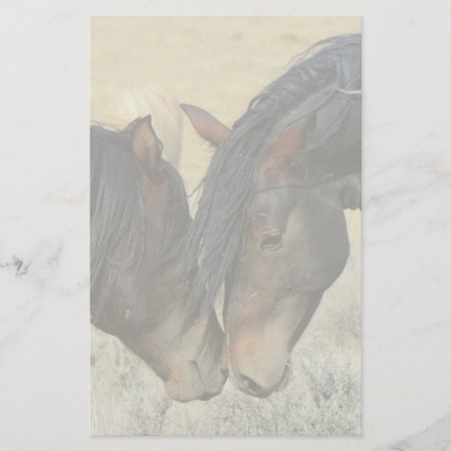 Two Brown Wild Horses Nuzzling Stationery (Front)