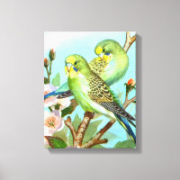 Two budgerigars bird