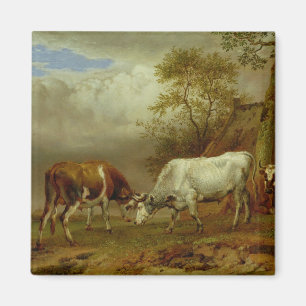 Two Bulls with Locked Horns, 1653 Magnet