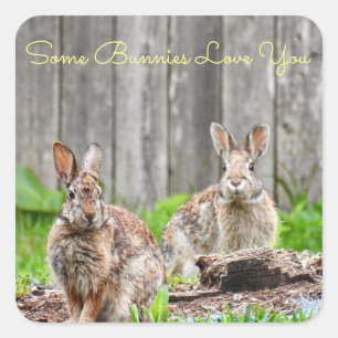 Two Bunnies, Some Bunnies Love You *personalise* Square Sticker