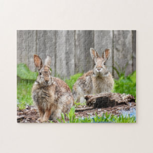 Two Bunny Rabbits Jigsaw Puzzle
