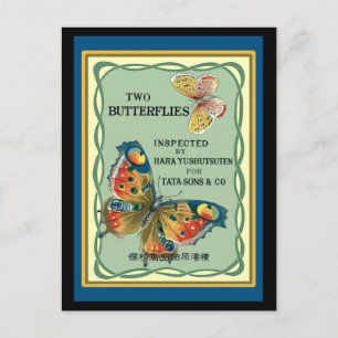 Two Butterflies Postcard