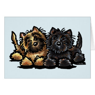 Two Cairn Terriers