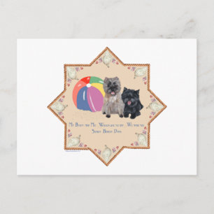 Two Cairn Terriers Sea Shells Postcard