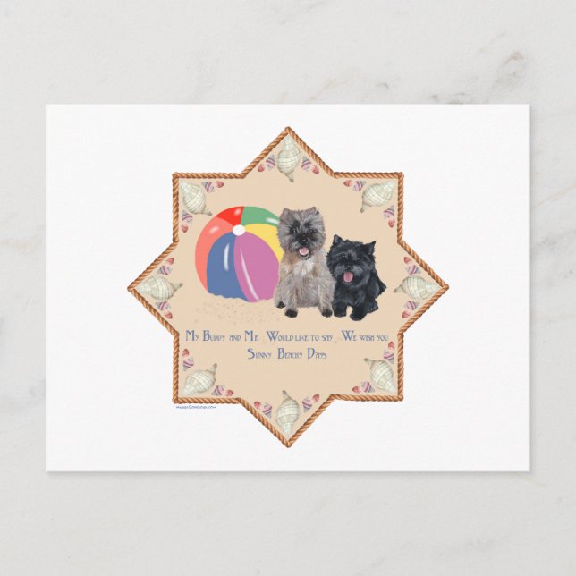Two Cairn Terriers Sea Shells Postcard (Front)