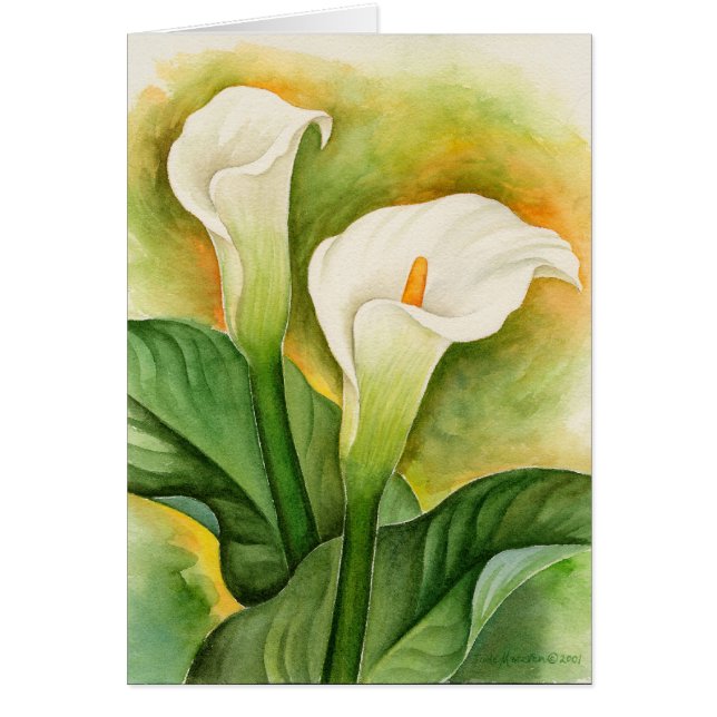 Two Cala Lilies Watercolor Art - Multi (Front)