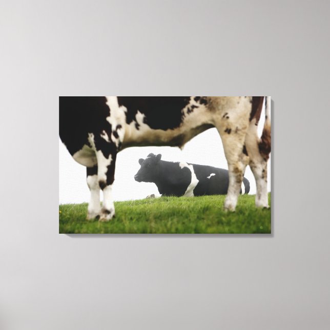 two canvas print (Front)