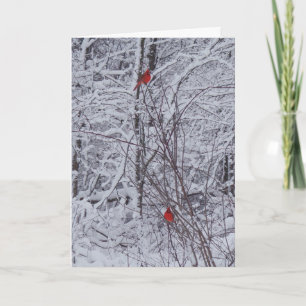Two Cardinals 7x5 Christmas Card