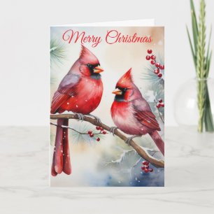 Two Cardinals Holiday Card