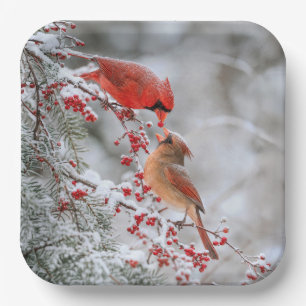 Two Cardinals with Red Berries in Winter Paper Plate