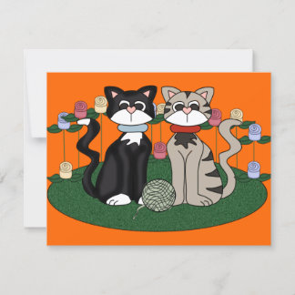 Two Cats Birthday party