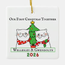 Two Cats First Christmas Together
