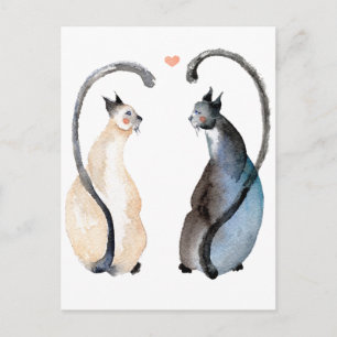 Two Cats in Love Postcard