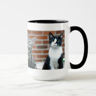 Two Cats Mug
