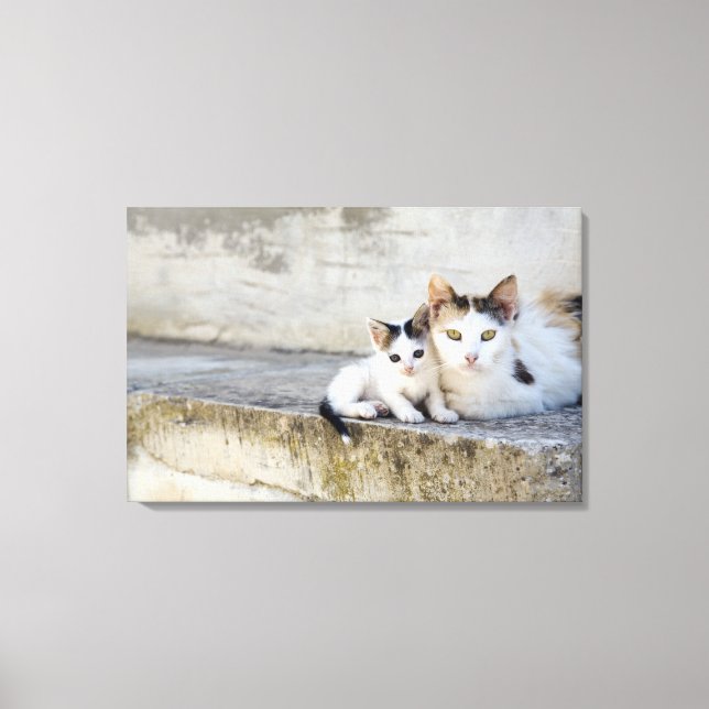Two cats on stone steps canvas print (Front)