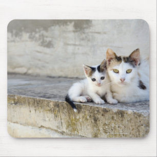 Two cats on stone steps mouse pad