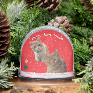 Two Cats Photo Text , Replace, Front And Back  Snowglobe