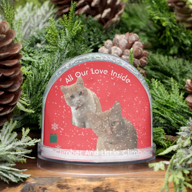 Two Cats Photo Text , Replace, Front And Back  Snowglobe (Winter)