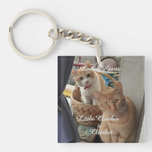 Two Cats , Replaceable Photo And Names, Key Ring