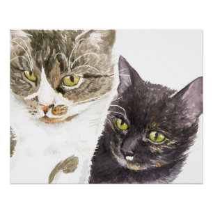 Two cats - tabby and tortie poster
