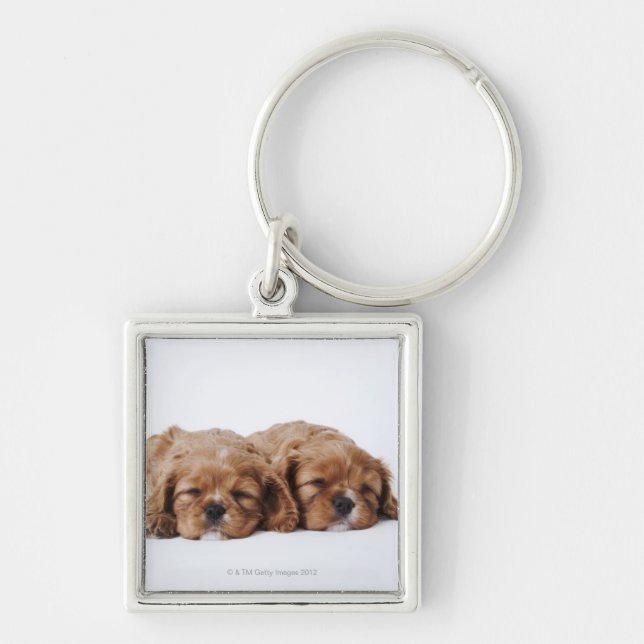 Two Cavalier King Charles Spaniel puppies Key Ring (Front)