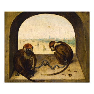 Two Chained Monkeys by Pieter Bruegel the Elder Photo Print
