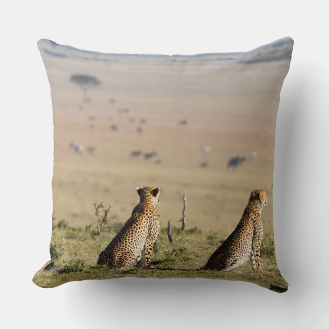 Two cheetahs on the look out cushion (Front)