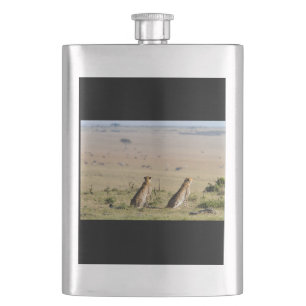 Two cheetahs on the look out hip flask