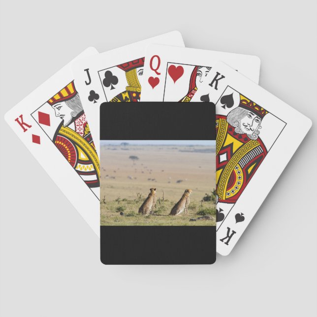 Two cheetahs on the look out playing cards (Back)