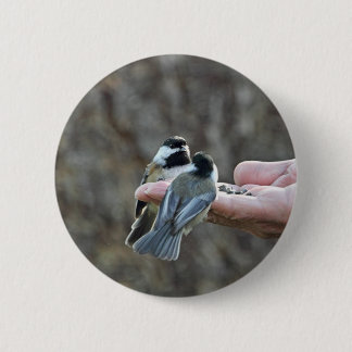 Two Chickadees on a Hand 6 Cm Round Badge