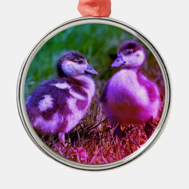 Two chicks of Egyptian Geese Metal Tree Decoration (Front)
