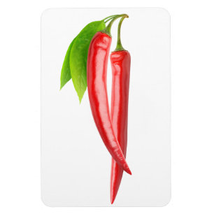 Two chillies with leaf magnet