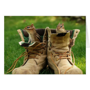two chipmunks in work boots