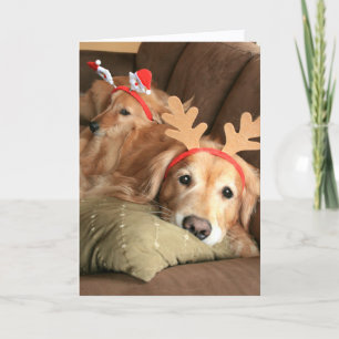 Two Christmas Holiday Golden Retrievers Card
