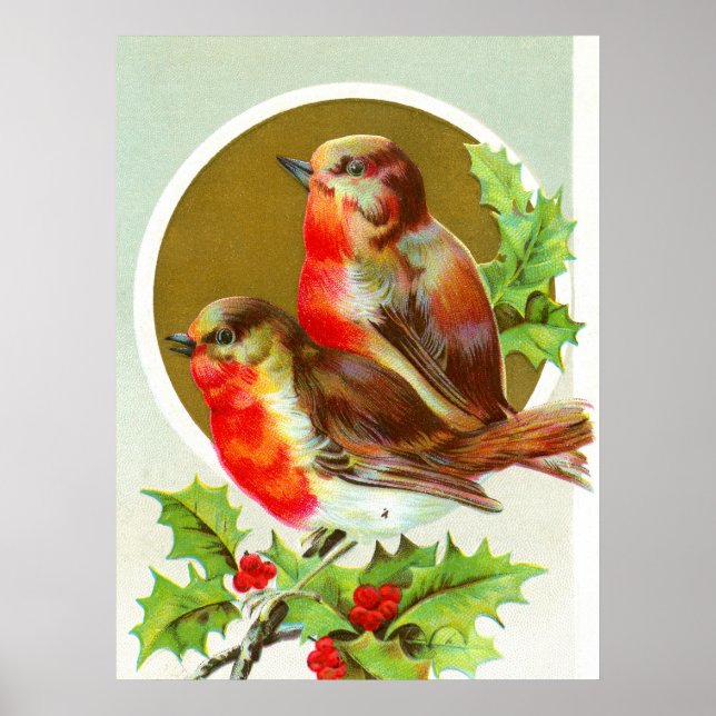 Two Christmas robins Poster (Front)