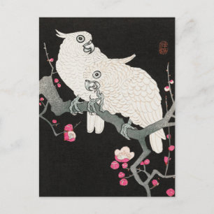 Two Cockatoo and Plum Blossom by Ohara Koson Postcard