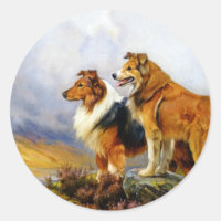 Two Collie Dogs above a Lake