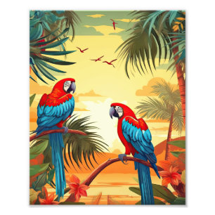 Two Colorful Parrots  Photo Print