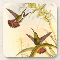 Two Colourful Hummingbirds Aiming for Same Flower