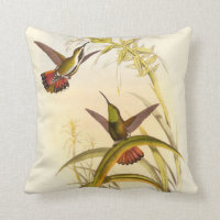 Two Colourful Hummingbirds Aiming for Same Flower