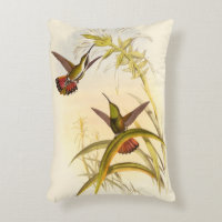 Two Colourful Hummingbirds Aiming for Same Flower