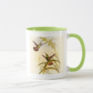 Two Colourful Hummingbirds Aiming for Same Flower Mug