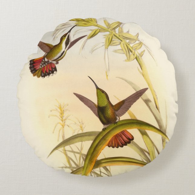 Two Colourful Hummingbirds Aiming for Same Flower Round Cushion (Front)